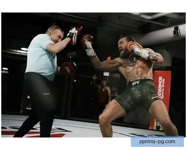 拳击初学者全面入门指南 拳击初学者全面入门指南