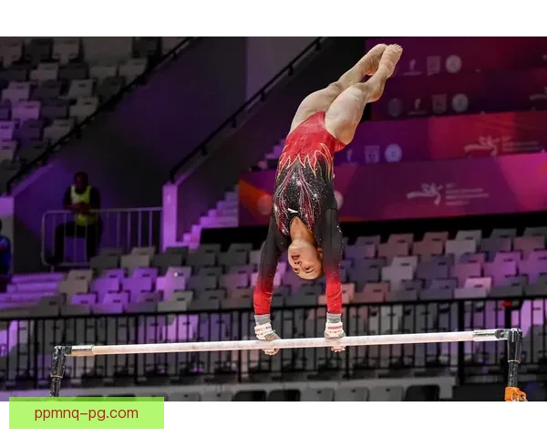 挑战特技极限：揭秘体操世界纪录的辉煌成就